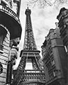 Image Not Available